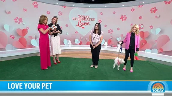 TODAY HOSTS FABRICATE ‘PET’ SEGMENT SO VETERINARIAN CAN FINALLY GET