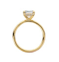 Diamond Engagement Rings-Natural