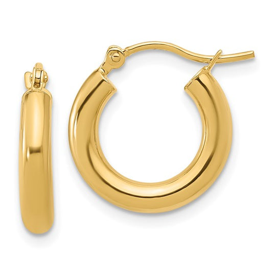 Gold Earrings